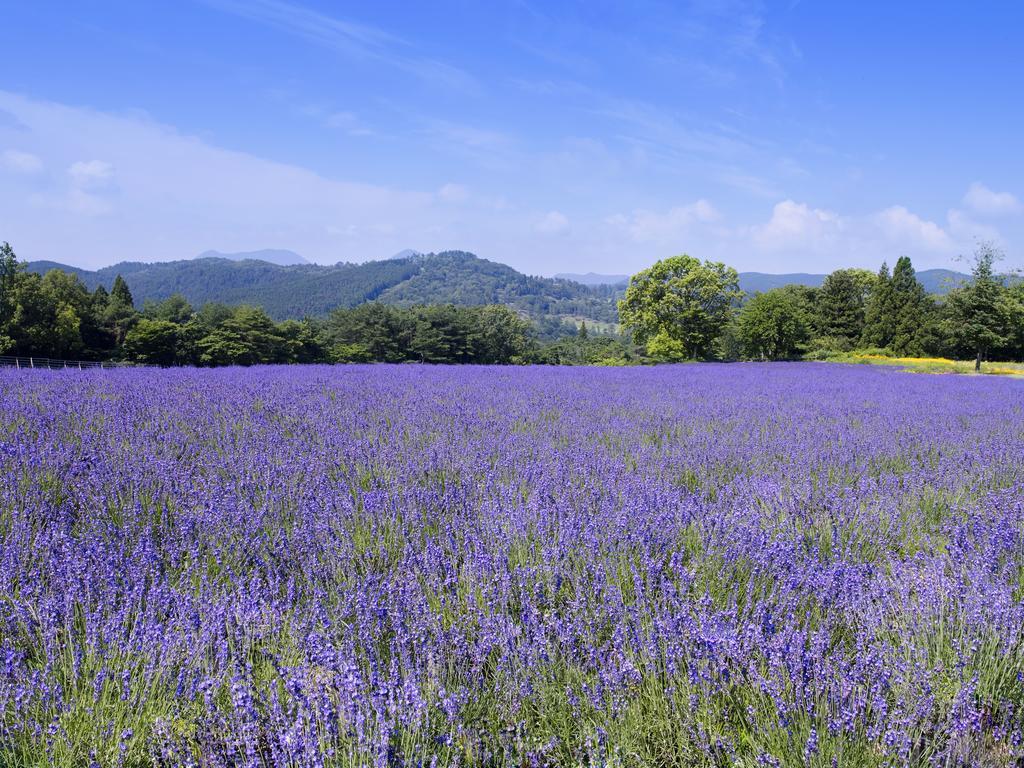 Menard Aoyama Resort: Wafukan Utatsukasa Iga Extérieur photo